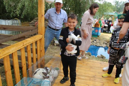 Заинское подворье украсило Сабантуй в Казани