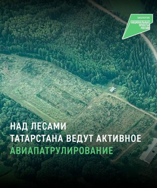 В Татарстане проводят авиапатрулирование лесов