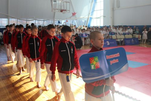 В Заинске прошло Первенство РТ по каратэ Киокусинкай