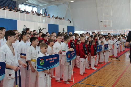 В Заинске прошло Первенство РТ по каратэ Киокусинкай