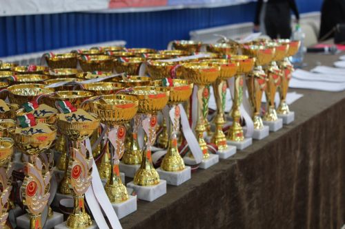 В Заинске прошло Первенство РТ по каратэ Киокусинкай