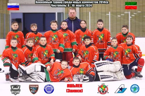 Юные заинцы стали призерами Турнира по хоккею