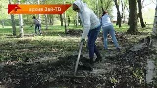 В городе начнется генеральная уборка