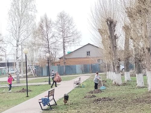 Жители микрорайона Мирный дружно убрали мусор с улиц