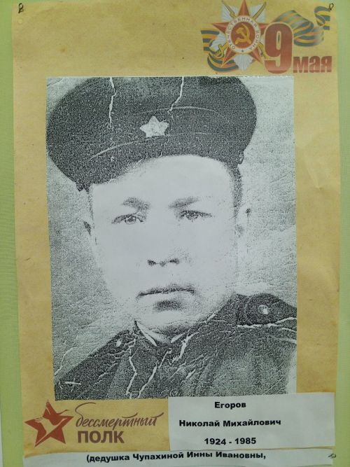Инна Чупахина присоединилась к акции #МойГеройМояСемья
