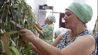 Пусть маскировочные сети станут музейным экспонатом...