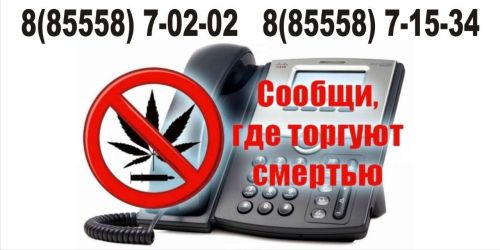 Сообщи, где торгуют смертью