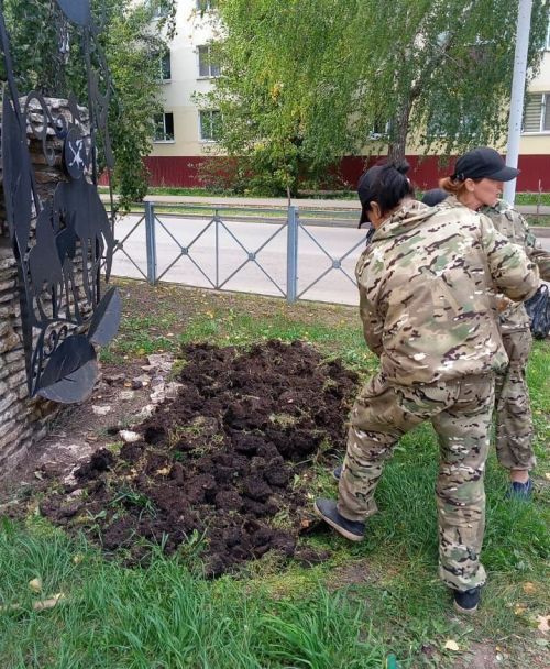 В Заинске озеленители закрыли цветочный сезон