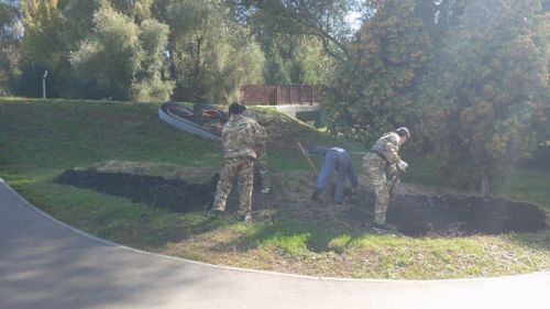 В Заинске озеленители закрыли цветочный сезон