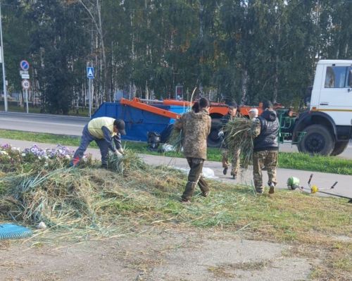 В Заинске озеленители закрыли цветочный сезон