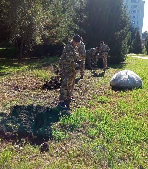 В Заинске озеленители закрыли цветочный сезон
