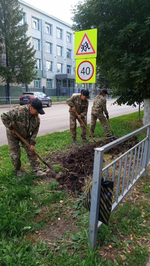 В Заинске озеленители закрыли цветочный сезон