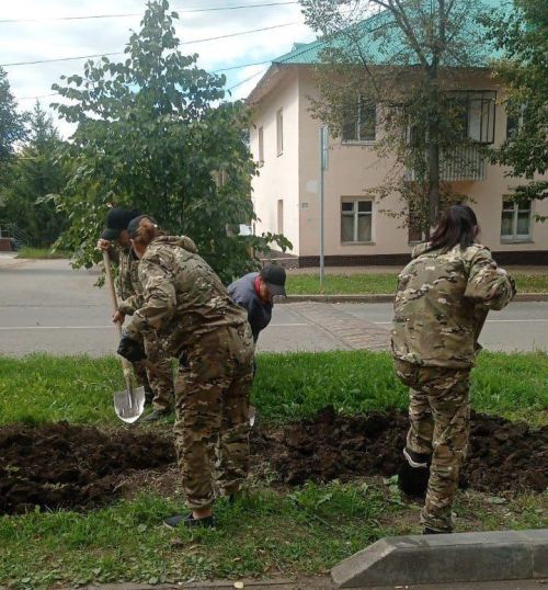 В Заинске озеленители закрыли цветочный сезон
