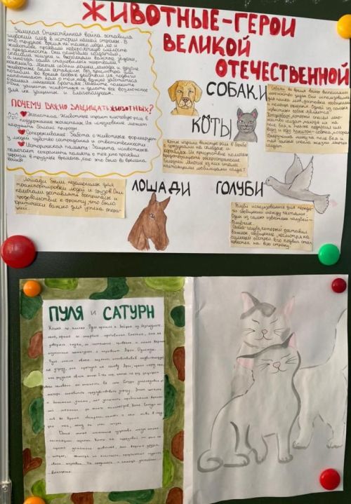 «Четвероногие солдаты»: в Заинской библиотеке вспомнили животных-героев войны