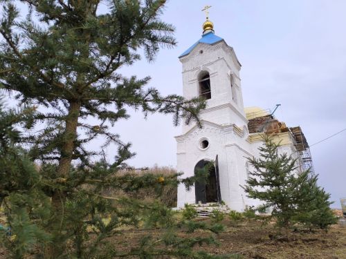 Озеленение села Налим: голубые ели и крымские сосны украсили территорию храма Покрова Пресвятой Богородицы