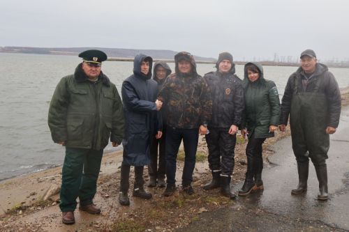 Живые очистители: зачем в Заинское водохранилище выпустили тысячи толстолобиков