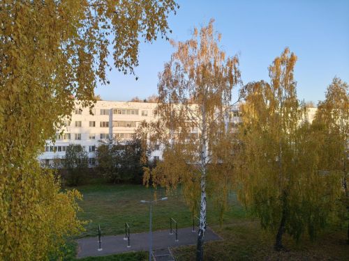 9 октября 2025: День Иоанна Богослова. Как творчество и семейный очаг помогут пережить зиму