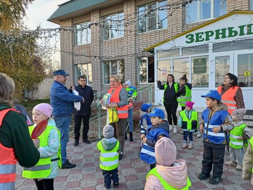 Вместе за безопасность на дорогах: в детском саду «Зёрнышко» прошел познавательный флешмоб