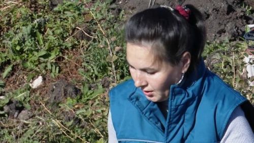 Садовод Ильнара Тимерханова поделилась секретами осеннего ухода за клубникой