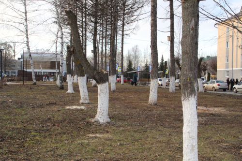 Парк на бульваре Победы ждёт большое обновление