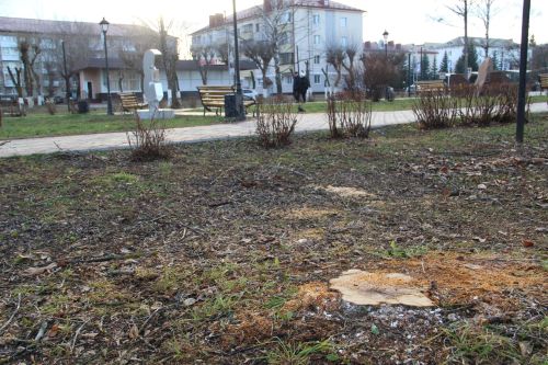 Парк на бульваре Победы ждёт большое обновление
