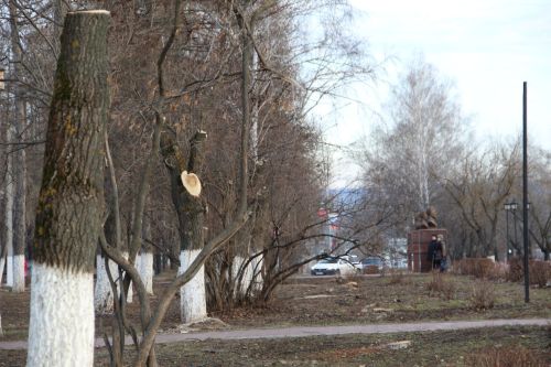 Парк на бульваре Победы ждёт большое обновление