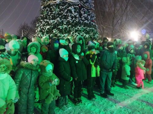 Как в Заинске зажгли главную новогоднюю ёлку