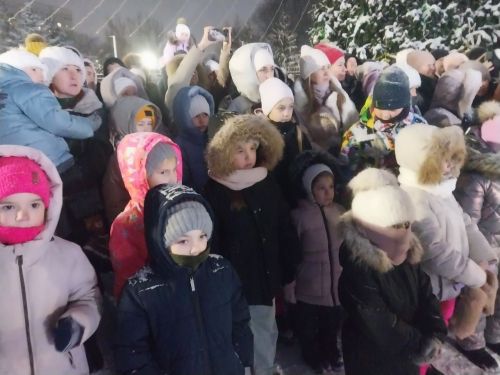 Как в Заинске зажгли главную новогоднюю ёлку