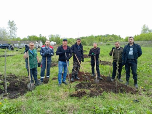 «Сад памяти» в честь героев СВО появился в селе Светлое Озеро