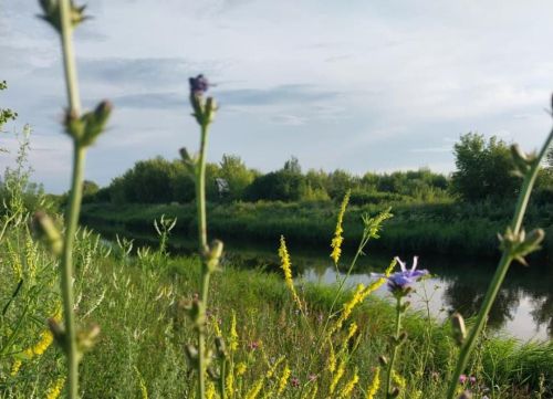Мефодий Перепелятник: традиции и приметы дня