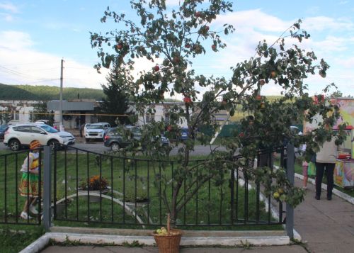 Яблочный Спас в Александровской Слободе: крестный ход, яблочные пироги и русские традиции под аккомпанемент дождя