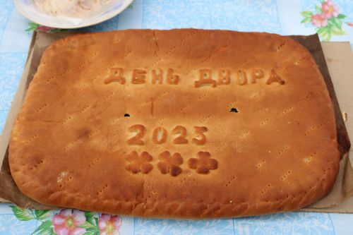 Праздник, который объединяет: на улице Жукова отпраздновали День двора