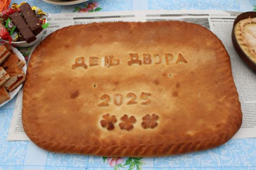 Праздник, который объединяет: на улице Жукова отпраздновали День двора