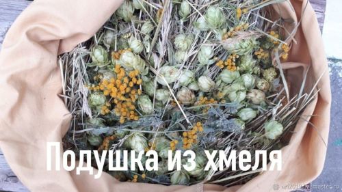 В саду жительницы Заинска Людмилы Мингалеевой растут сотни видов цветов