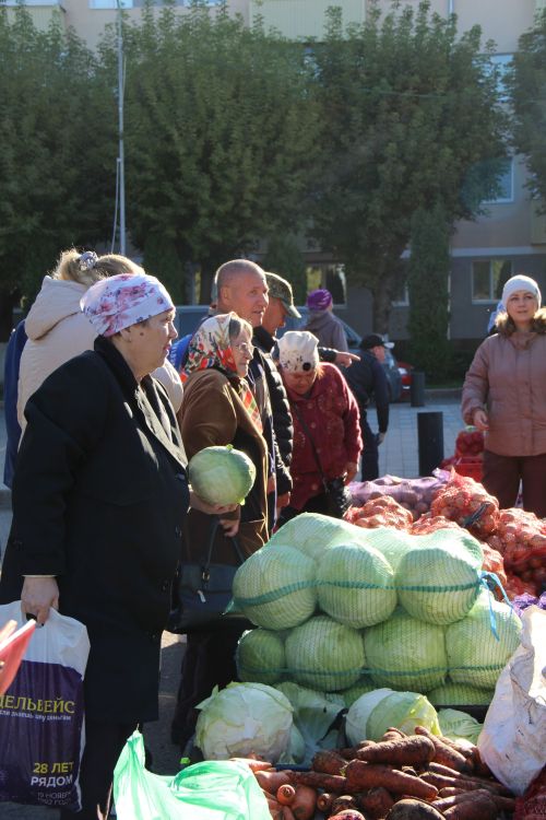 В Заинске стартовал сезон проведения сельскохозяйственных ярмарок