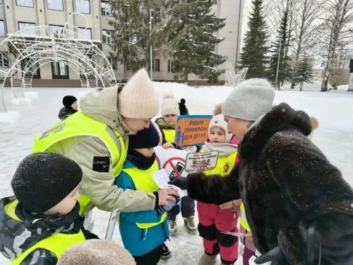 Детсадовцы провели акцию «Снежинка безопасности» для водителей и пешеходов