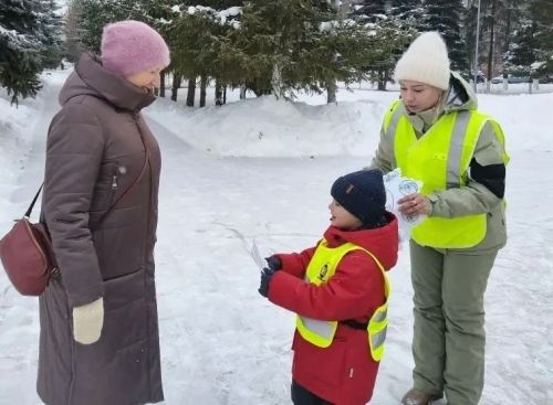 Детсадовцы провели акцию «Снежинка безопасности» для водителей и пешеходов