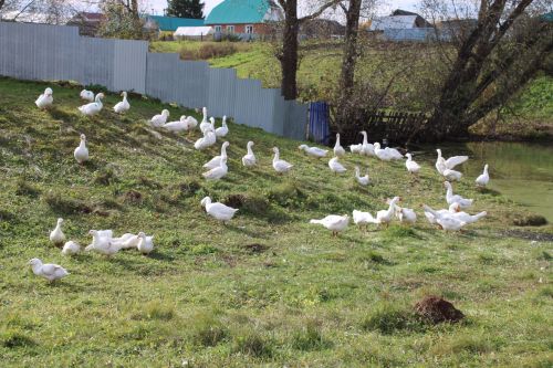 В Сарсаз-Баграже завершили масштабный ремонт сельских дорог