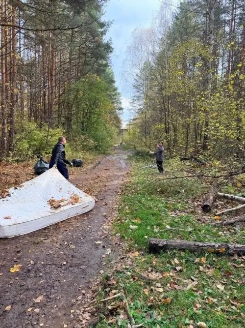 Сотрудники Татэнерго высадили деревья и убрали лес