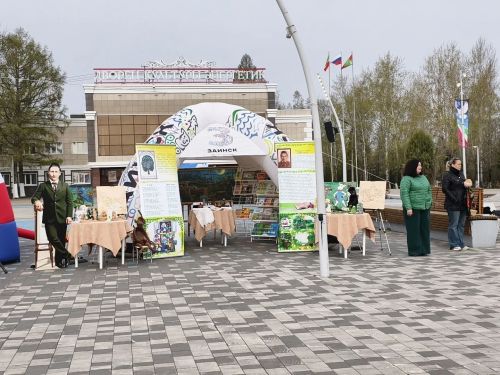 В Заинске с песнями и саженцами прошла последняя ярмарка сезона