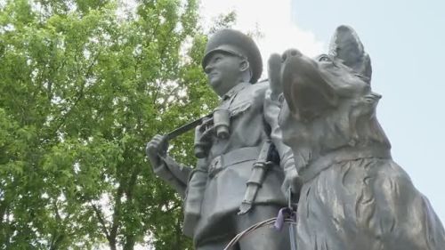 В Заинске отметили  День пограничника