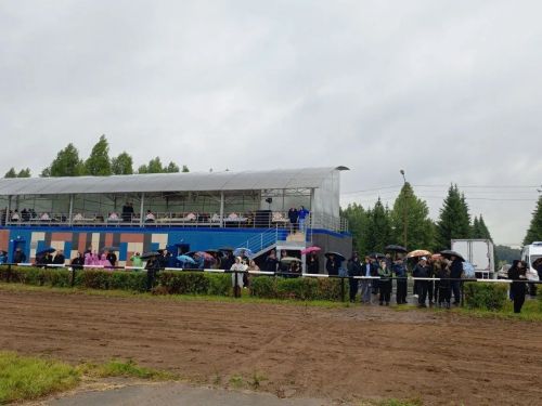 23 лошади и 5 пони: итоги конных соревнований в Заинске