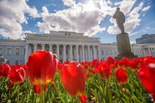 Приём заявлений на бюджет в вузах заканчивается 25 июля 2026