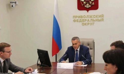 Детям с аутизмом помогут цифровые платформы — итоги заседания в ПФО