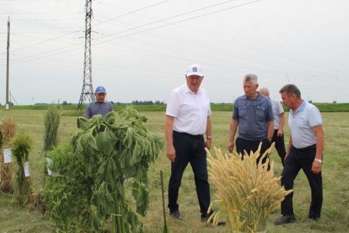В Заинском районе проверили готовность аграриев к уборочной кампании 2026 года