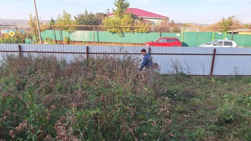 В Заинском районе активисты ТОС «Школьное» провели воскресник у храма