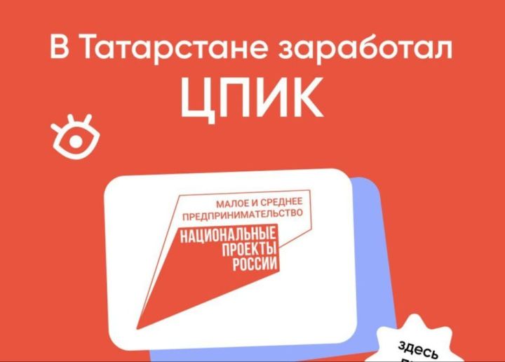 В Татарстане заработал новый сервис для предпринимателей