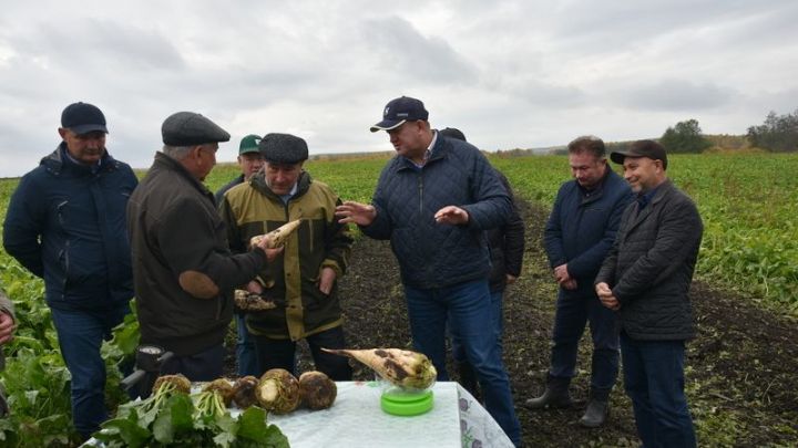 Министр селького хозяйства и продовольствия РТ Марат Ахметов дал хорошую оценку работе заинских аграриев