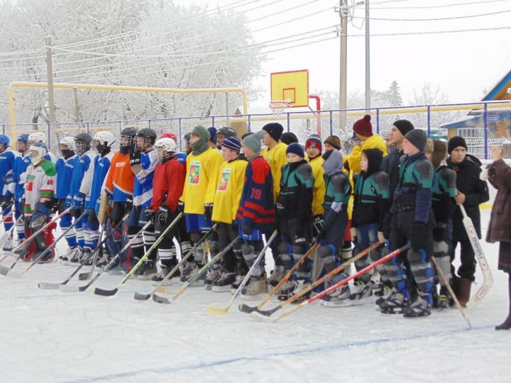 Хоккеисты сразились за призы Деда Мороза