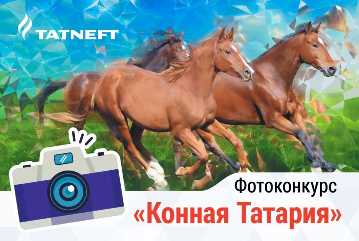 «Татнефть» объявляет о проведении фотоконкурса «Конная Татария»